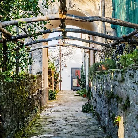 Mirasole House Holiday home Massa Lubrense